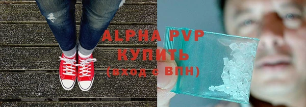 индика Баксан